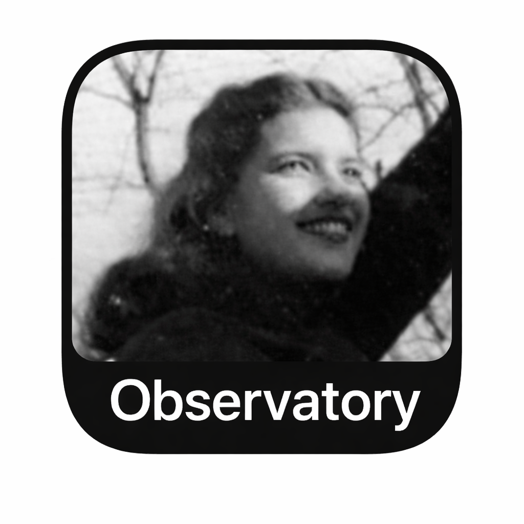 Rubin Observatory icon